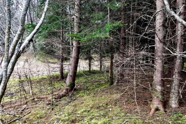 0 Main Rd., Hureauville, NS B0E1J0 Photo 2