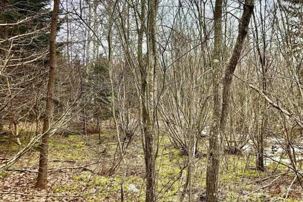 0 Main Rd., Hureauville, NS B0E1J0 Photo 4