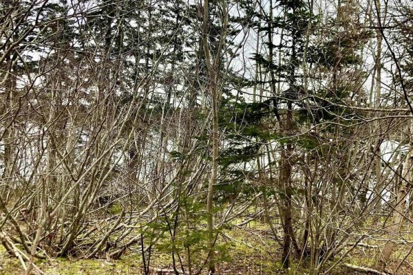 0 Main Rd., Hureauville, NS B0E1J0 Photo 5