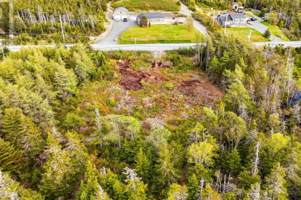 0 Main Road, Tors Cove, NL A0A4A0 Photo 4