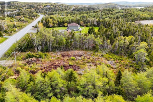 0 Main Road, Tors Cove, NL A0A4A0 Photo 5