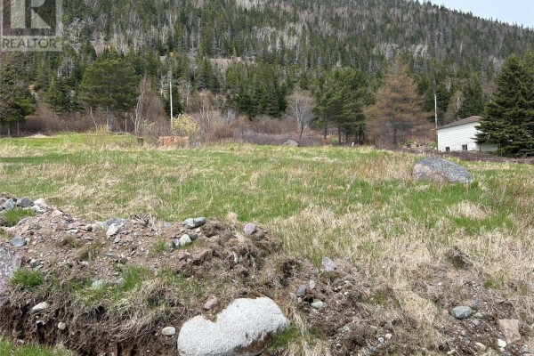 0 Main Street, Rattling Brook, NL, photo 3