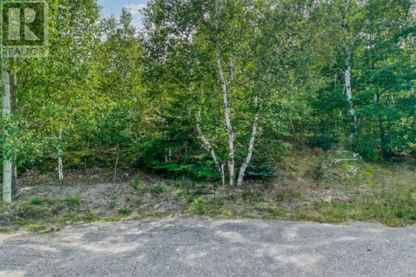 0 Marion Street, Sudbury, ON P3E3J2 Photo 5