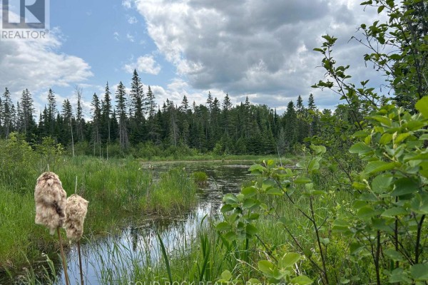 0 Mast Road, Mcnab/braeside, ON K7S3G8 Photo 4
