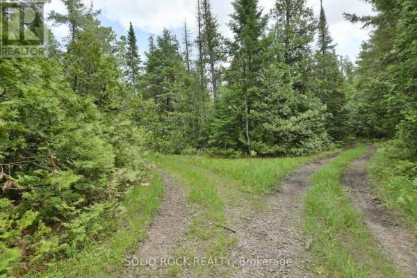 0 Mast Road, Mcnab/braeside, ON K7S3G8 Photo 5