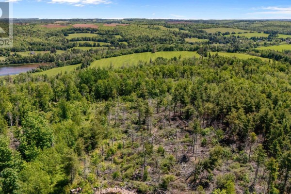 Aerial view of wooded land with a cleared section showing dead trees and undergrowth. - 0 Mccourt Road, Millvale, Millvale