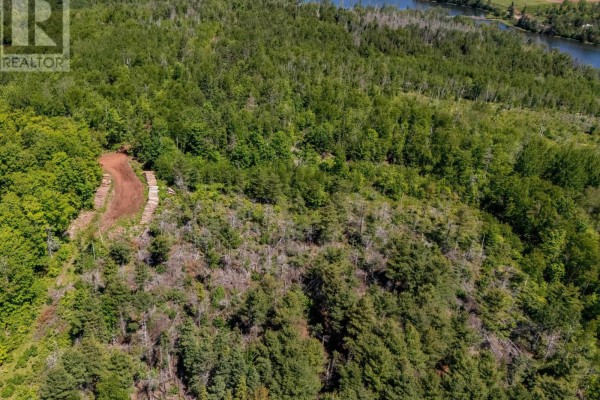 Aerial view of the property showing a dirt path leading into dense forest. - 0 Mccourt Road, Millvale, Millvale