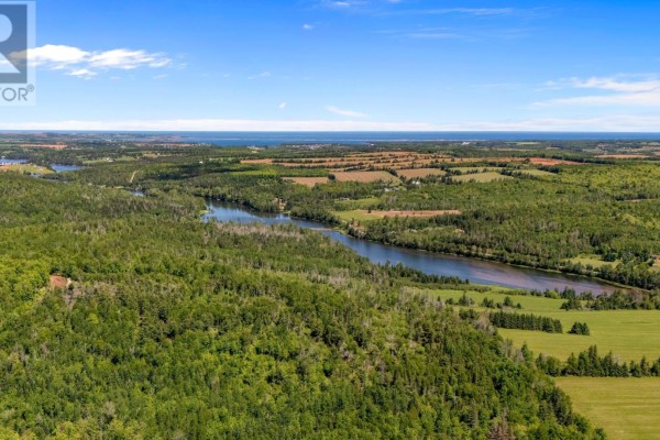 Panoramic aerial view of lush green forests, a calm river, and fields under a blue sky. - 0 Mccourt Road, Millvale, Millvale