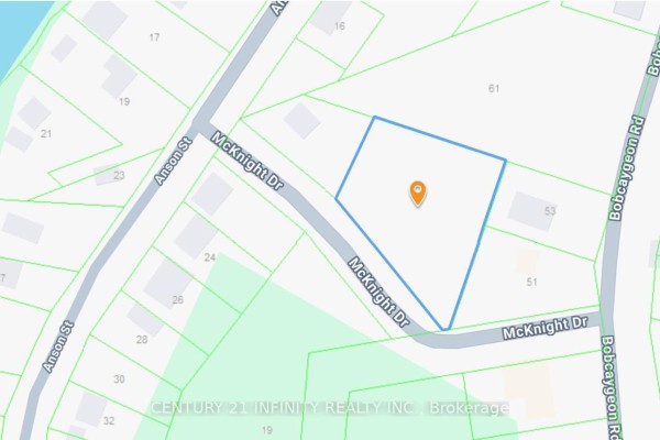 Property map showing lot 61 outlined in blue on Mcknight Drive, surrounded by other lots. - 0 Mcknight Drive, Minden Hills