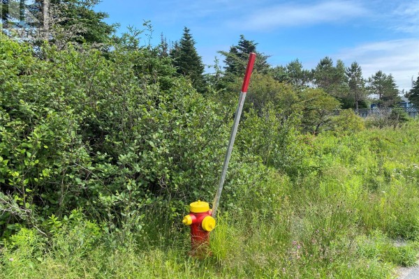 0 Mcnamara Crescent, Harbour Grace, NL A0A2M0 Photo 4