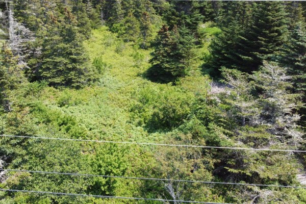 0 Mcnamara Crescent, Harbour Grace, NL A0A2M0 Photo 5