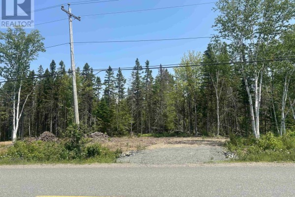 0 Meadows Road, Sydney Forks, NS B1L1A1 Photo 2