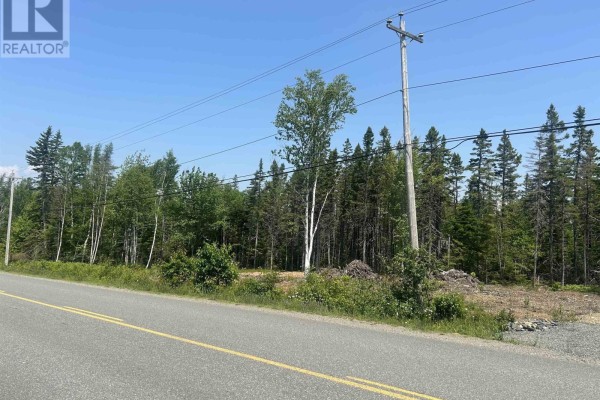 0 Meadows Road, Sydney Forks, NS B1L1A1 Photo 3