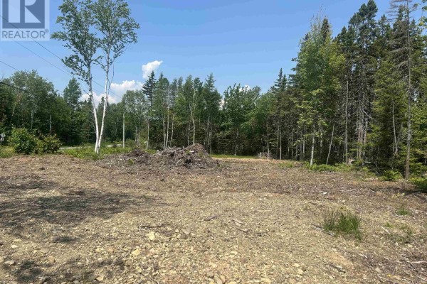 0 Meadows Road, Sydney Forks, NS B1L1A1 Photo 4