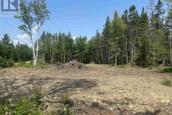 0 Meadows Road, Sydney Forks, NS B1L1A1 Photo 5