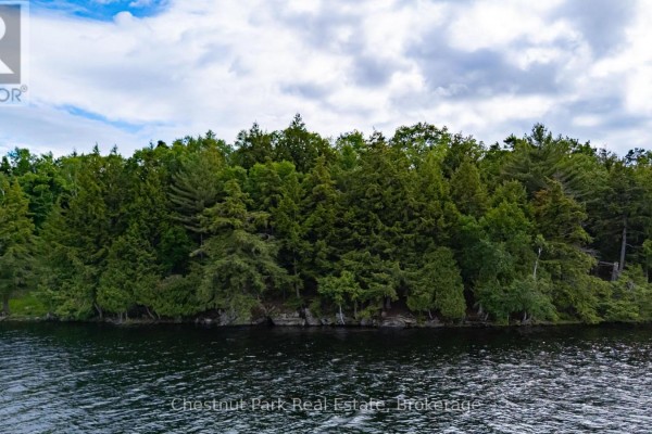 0 Meda Island Lot 2, Muskoka Lakes, ON P0B1J0 Photo 4