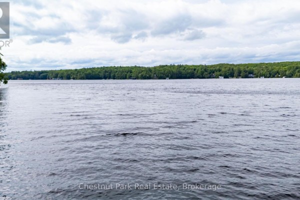 0 Meda Island Lot 3, Muskoka Lakes, ON P0B1J0 Photo 4