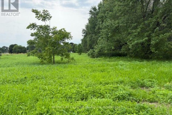 0 Merwin Lane, Prescott, ON K0E1T0 Photo 5