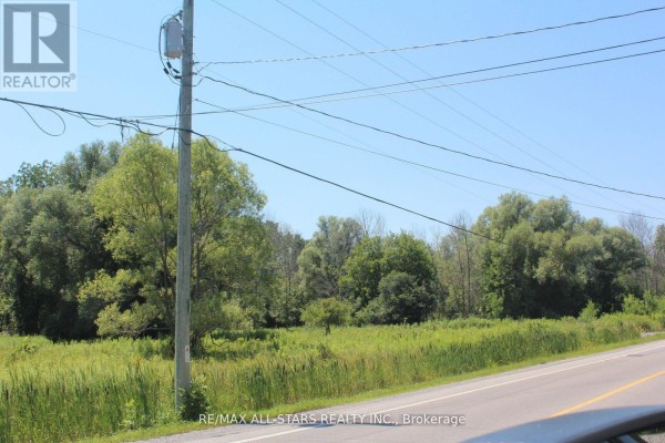 0 Metro Road, Georgina, ON L4P3G1 Photo 5