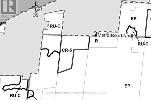 0 Metro Road N, Georgina, ON L0E1S0 Photo 4