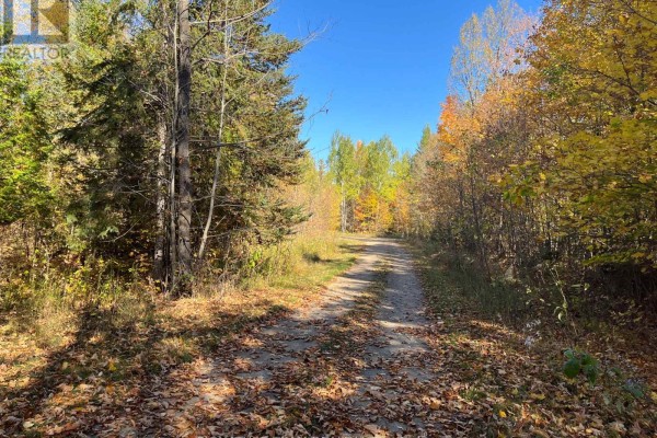 0 Minnie Road, Bonnechere Valley, ON, photo 2