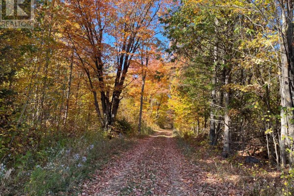0 Minnie Road, Bonnechere Valley, ON, photo 3