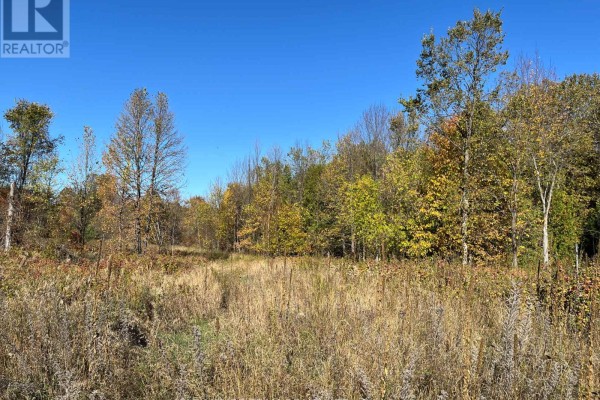 Open field with scattered trees and clear blue sky - 0 Minnie Road, Bonnechere Valley