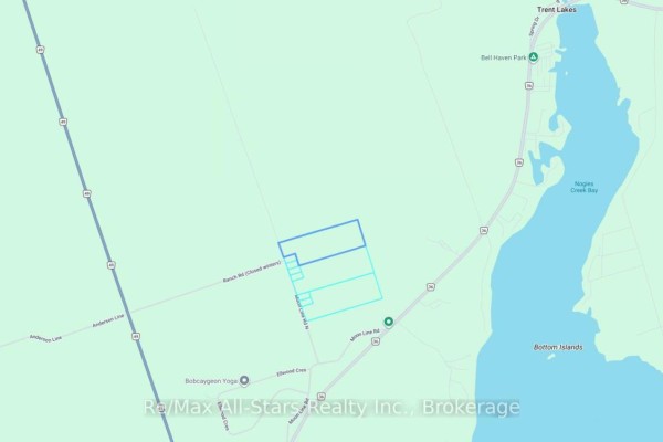 0 Moon Line Road N, Trent Lakes, ON K0M1A0 Photo 2
