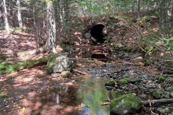 0 Mosher Hill Road, St  Martins, NB, photo 2