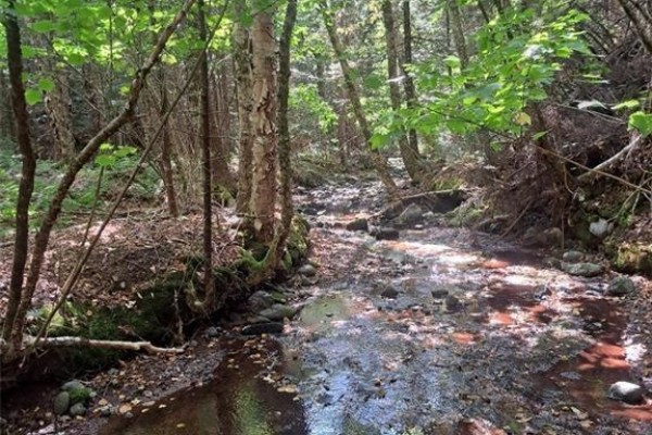 0 Mosher Hill Road, St  Martins, NB, photo 3