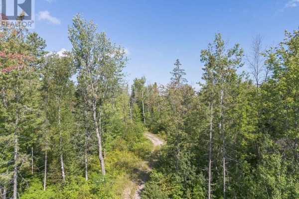 0 Mud Lake Road, Laurentian Valley, ON K8A6W4 Photo 4