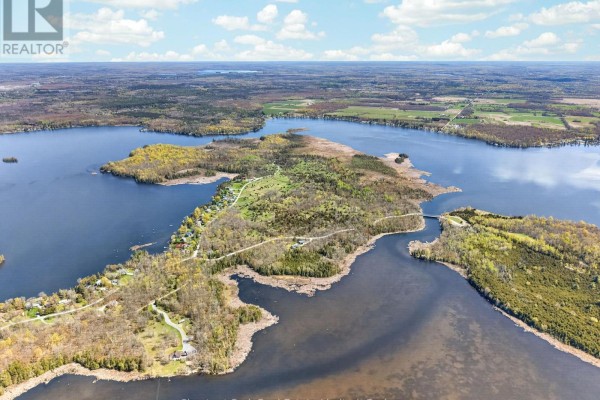 0 Nappan Island Road, Trent Hills, ON K0L2Z0 Photo 4