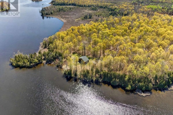 0 Nappan Island Road, Trent Hills, ON K0L2Z0 Photo 5