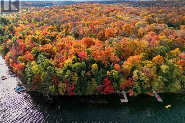 0 North Menominee Lake Road, Lake Of Bays, ON, photo 2