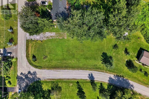 Overhead view of the grassy lot with mature trees casting shadows on the paved road. - 0 Noxon Road, Greater Napanee
