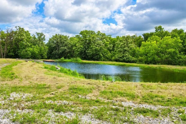 A wide view of a pond with grassy banks and distant trees under a bright, cloudy sky. - 0 Old Bog Road, Lorette