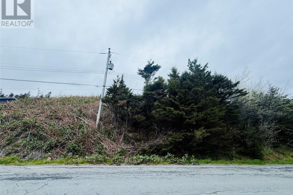 0 Old Point Verde Road, Point Verde, NL A0B2Y0 Photo 2