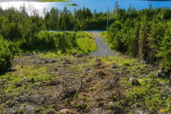 0 Ostrea Lake Road, Pleasant Point, NS B0J2L0 Photo 2
