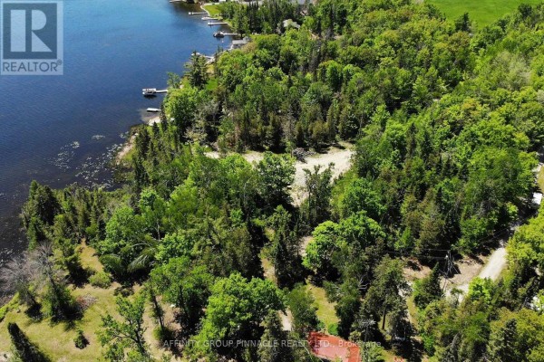 0 Pearce Road, Kawartha Lakes, ON K0M2B0 Photo 5