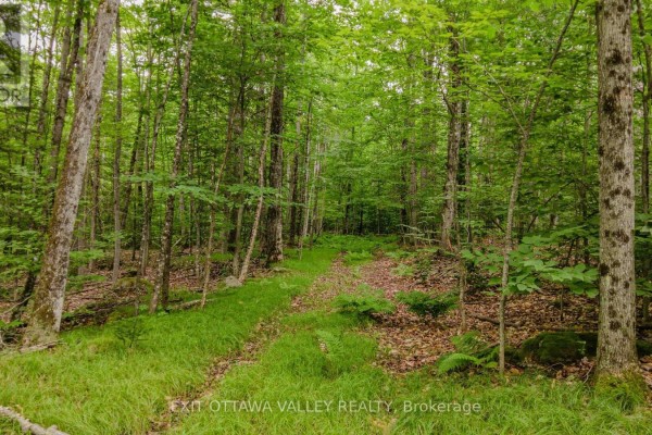 0 Peplinskie Road, Madawaska Valley, ON K0J1L0 Photo 5