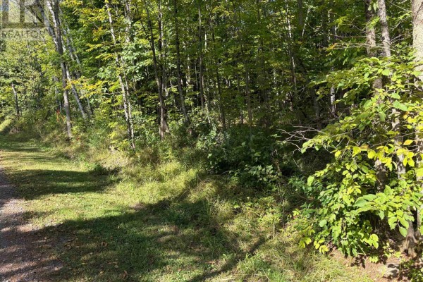 0 Pine Road, Magnetawan, ON P0A1A0 Photo 2