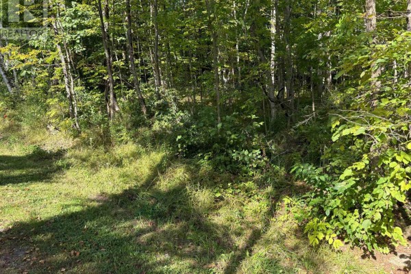 0 Pine Road, Magnetawan, ON P0A1A0 Photo 4