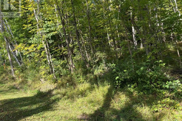 0 Pine Road, Magnetawan, ON P0A1A0 Photo 5