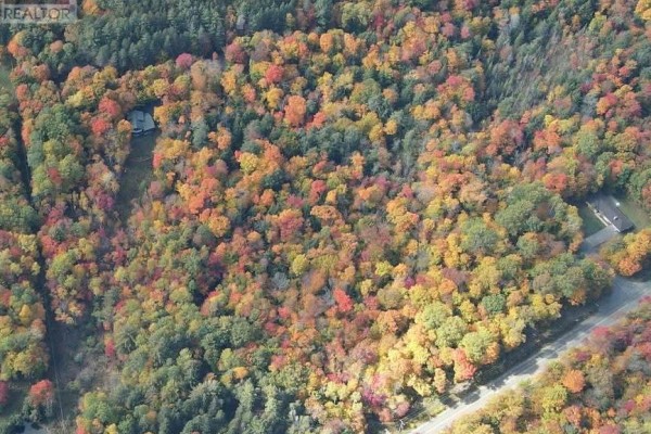 0 Point Ideal Road, Lake Of Bays, ON, photo 3