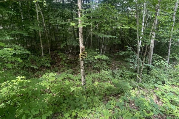 0 Pond Road, Tay Valley, ON, photo 2