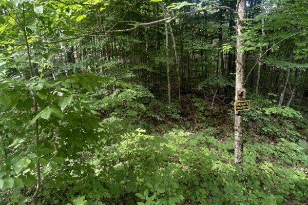0 Pond Road, Tay Valley, ON, photo 3