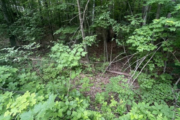 0 Pond Road, Tay Valley, ON K0H2B0 Photo 4