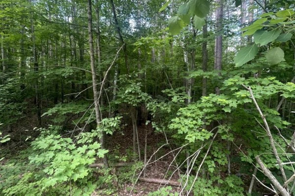 0 Pond Road, Tay Valley, ON K0H2B0 Photo 5