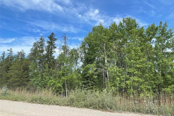 0 Pr203 Road, Woodridge, MB R0A2N0 Photo 2