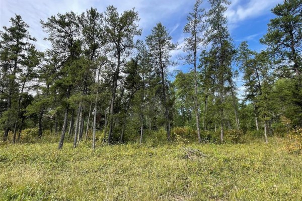0 Pr203 Road, Woodridge, MB R0A2N0 Photo 4